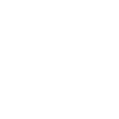 Nordic Sol